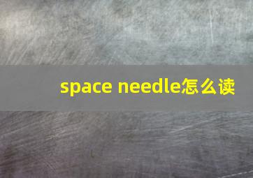 space needle怎么读